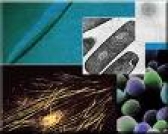 NANOVED & NANOTECH & TECHTRANSFER 2010